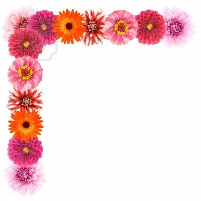 flower clip art jpg - photo #43