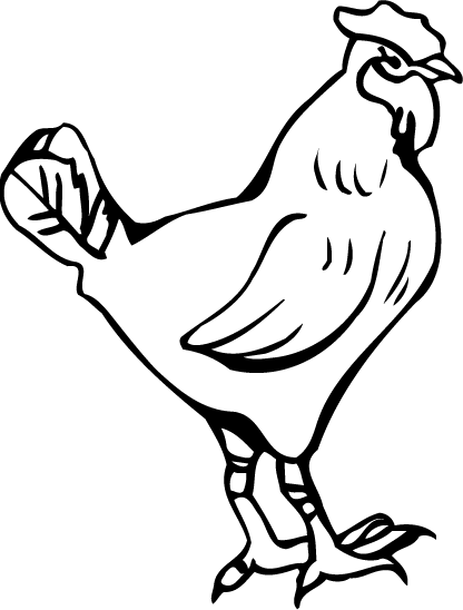 free chicken clipart black and white - photo #14