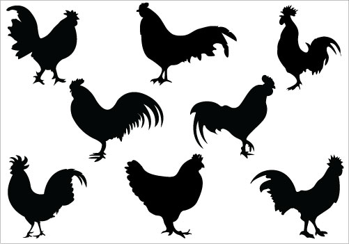 rooster clipart black and white - photo #37