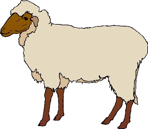 clipart cartoon sheep - photo #24