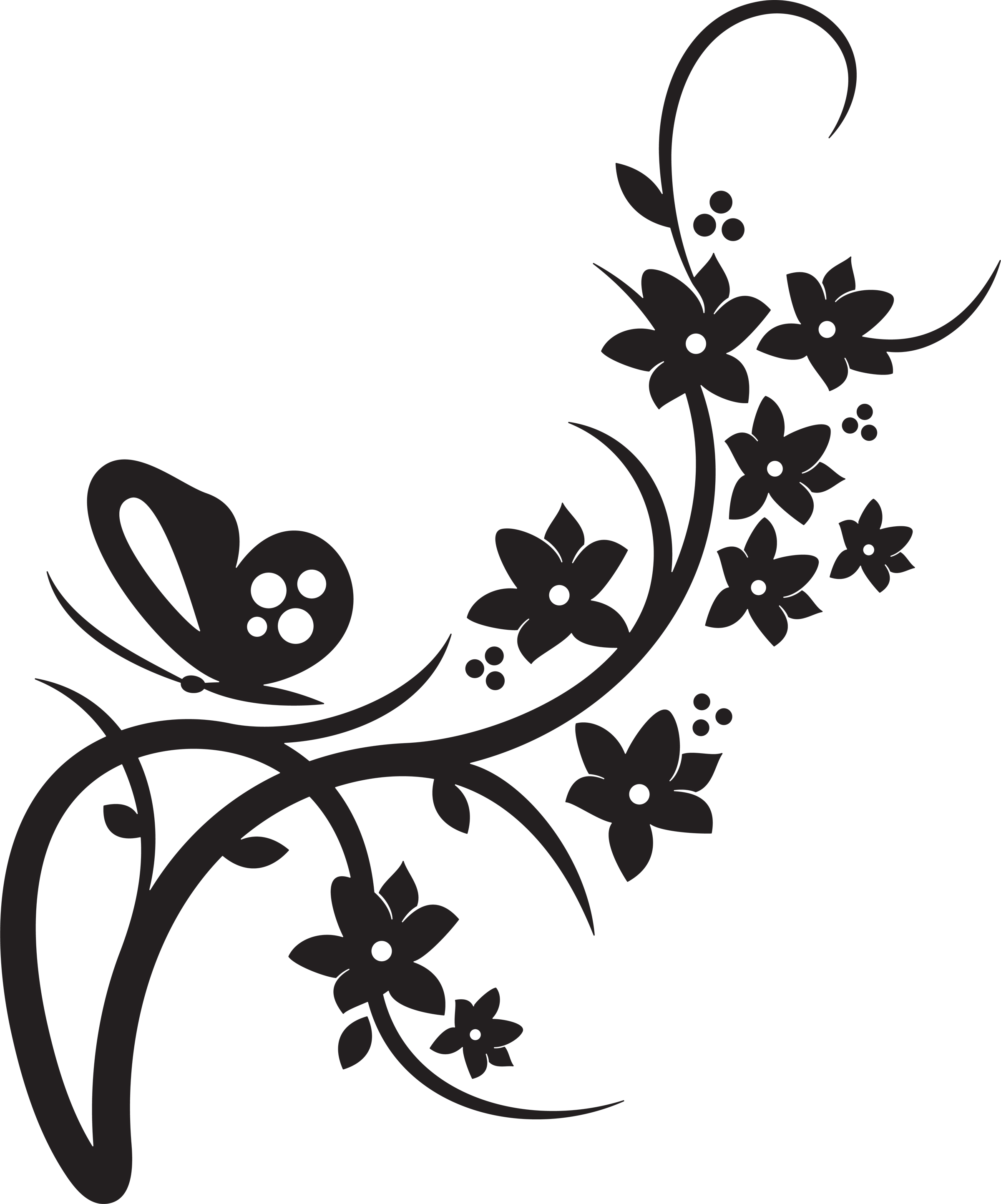 clipart flowers and butterflies border - photo #26