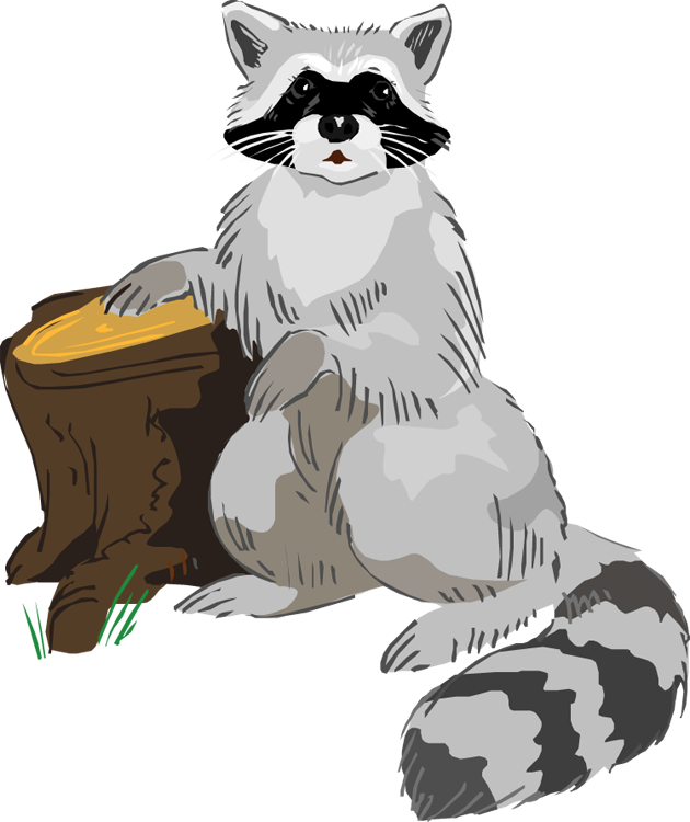 cartoon raccoon clipart - photo #46