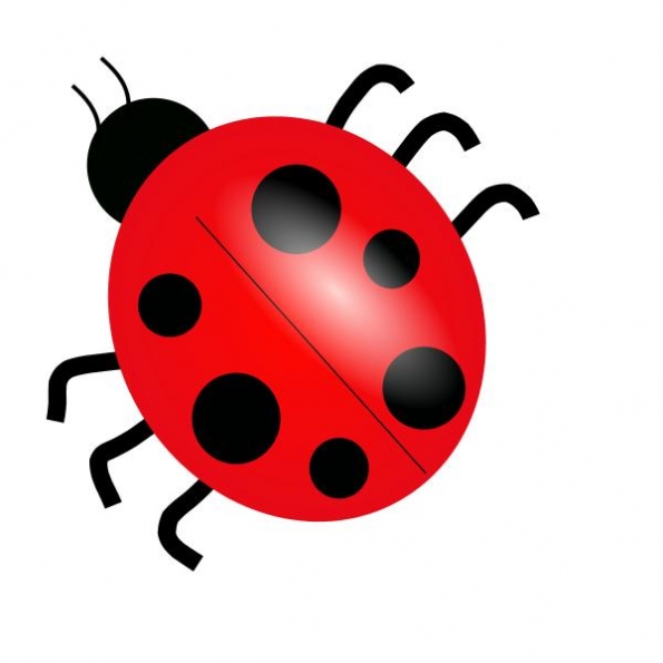 animated insects clipart - photo #47