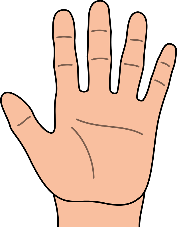 Hands-hand-outline-clipart-kid.png