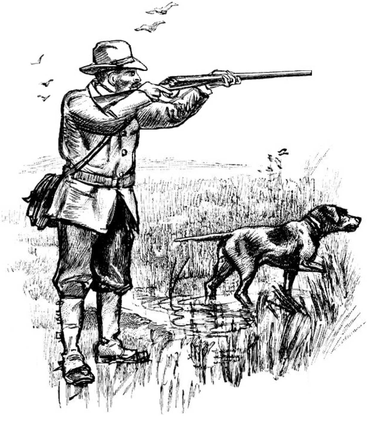 hunting dog clipart - photo #43