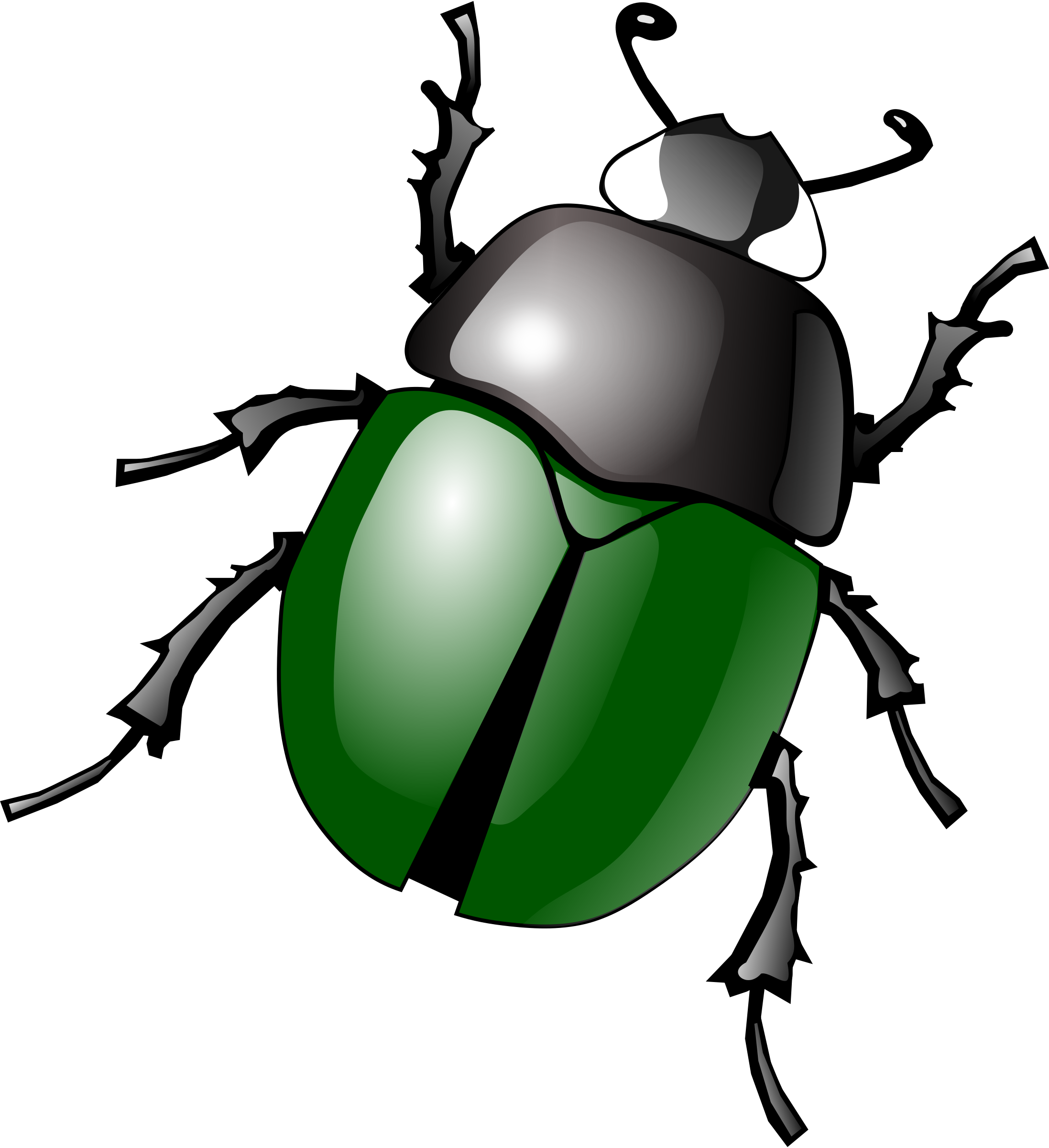 animated insect clipart - photo #26