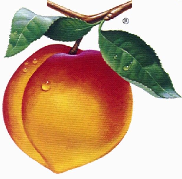 Free Peach Clip Art Pictures Clipartix