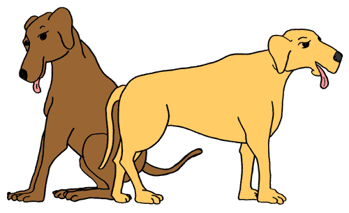free mean dog clipart - photo #17