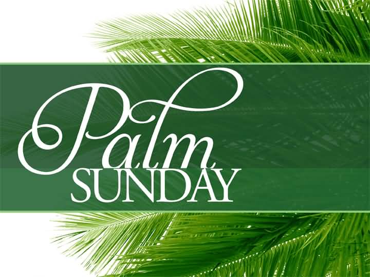 free christian clipart palm sunday - photo #48