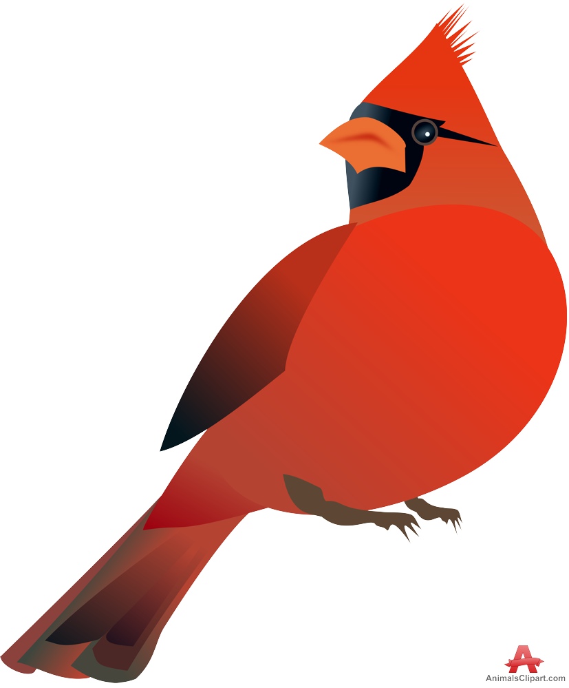 Northern red cardinal bird free clipart design download - Clipartix