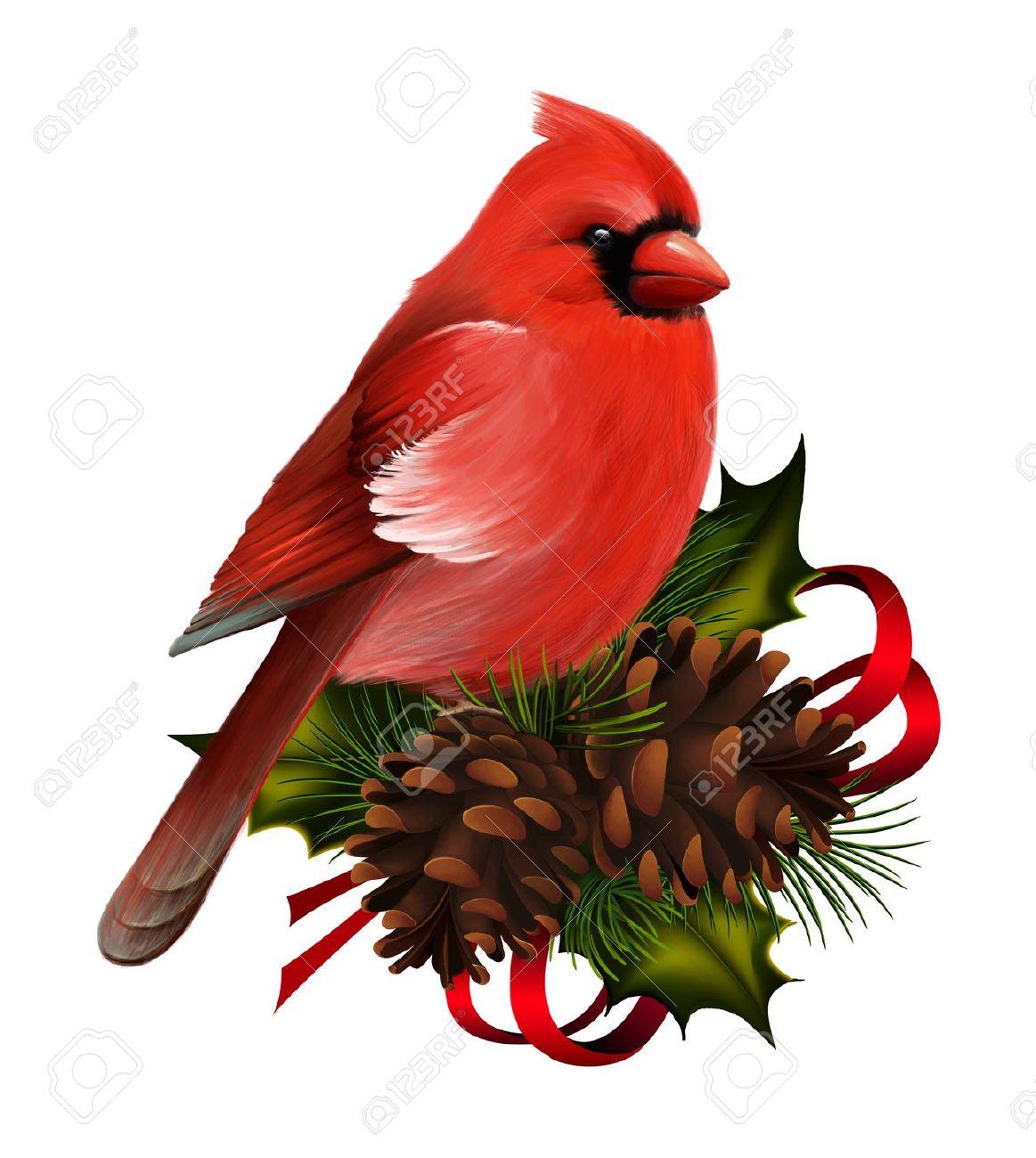 Free Cardinal Clipart Pictures Clipartix