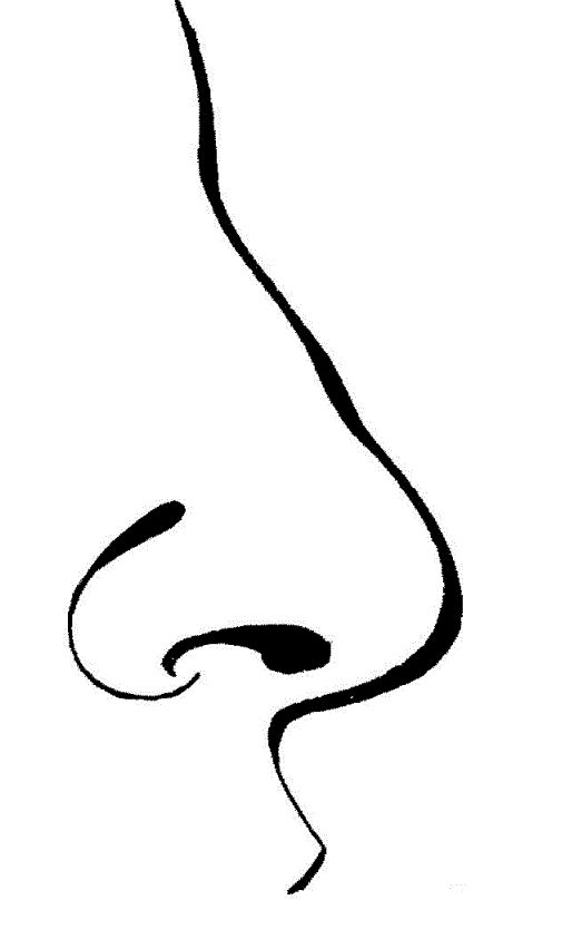 free animated clipart nose - photo #15