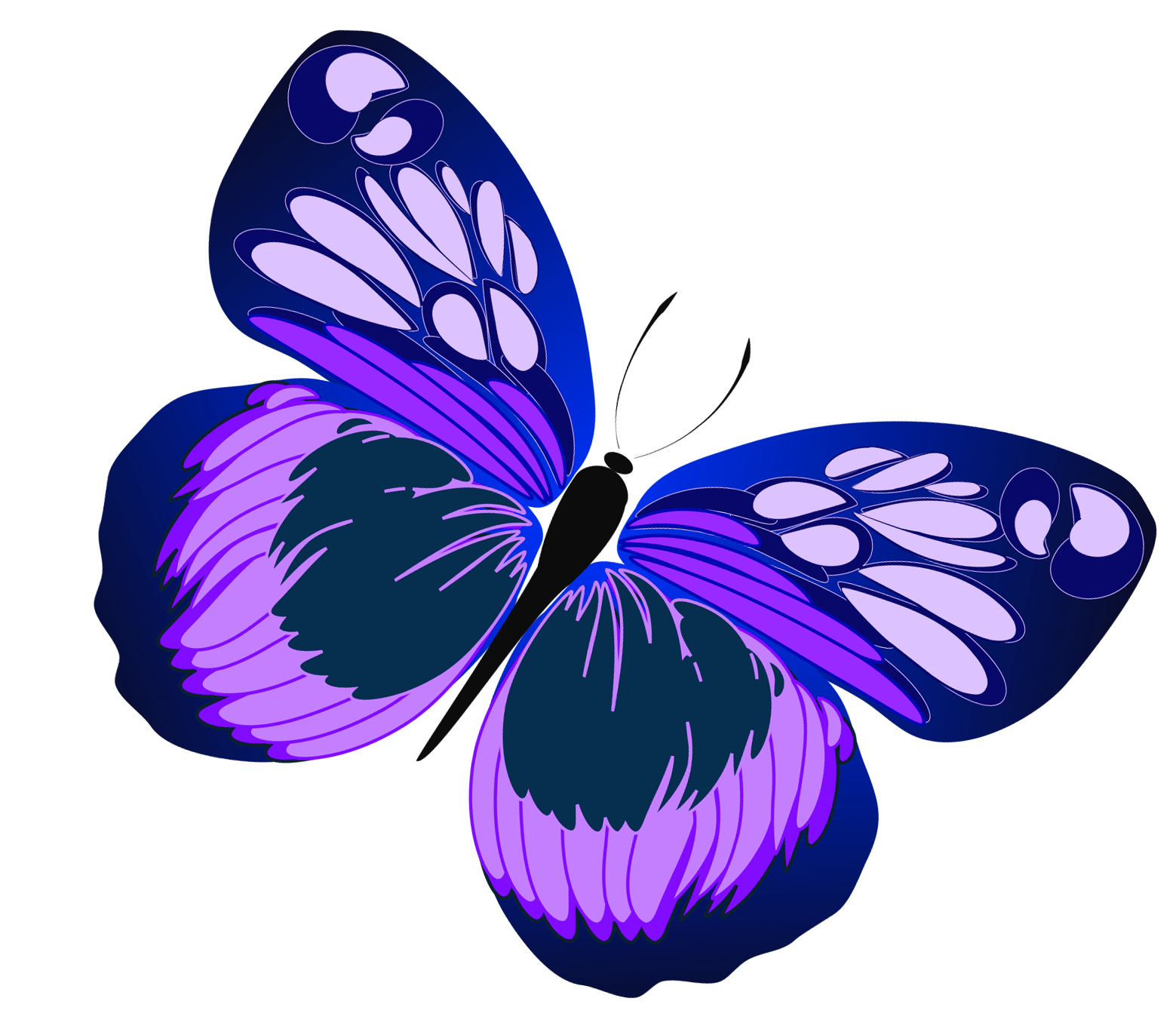 Butterflies clip art clipart 3 - Clipartix