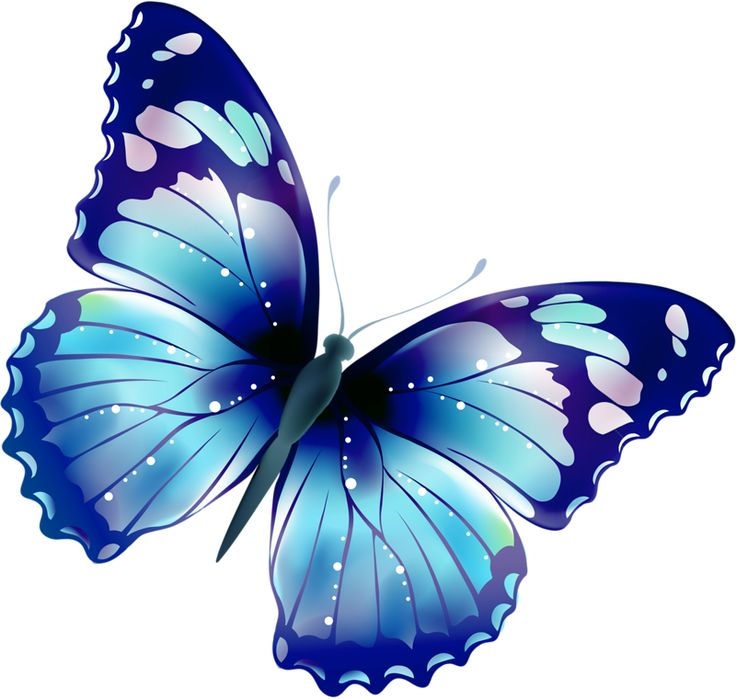 Butterflies clipart butterfly clip art vergilis - Clipartix