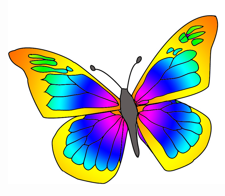 free colorful butterfly clipart - photo #10