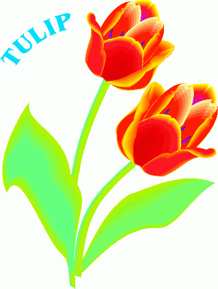 free clip art flowers tulips - photo #5