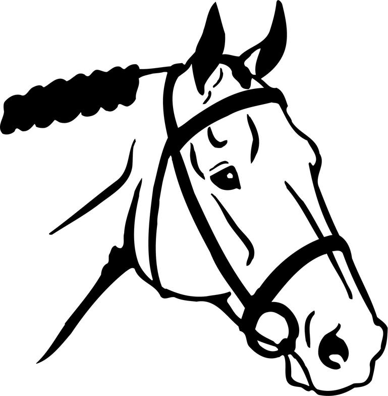arabian-horse-head-clipart-free-images-clipartix