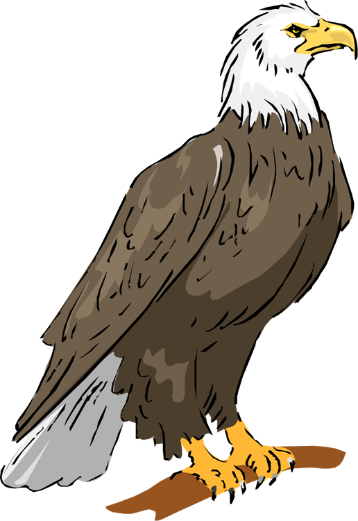 clipart picture of an eagle - photo #16