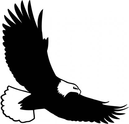 free bald eagle clip art - photo #26
