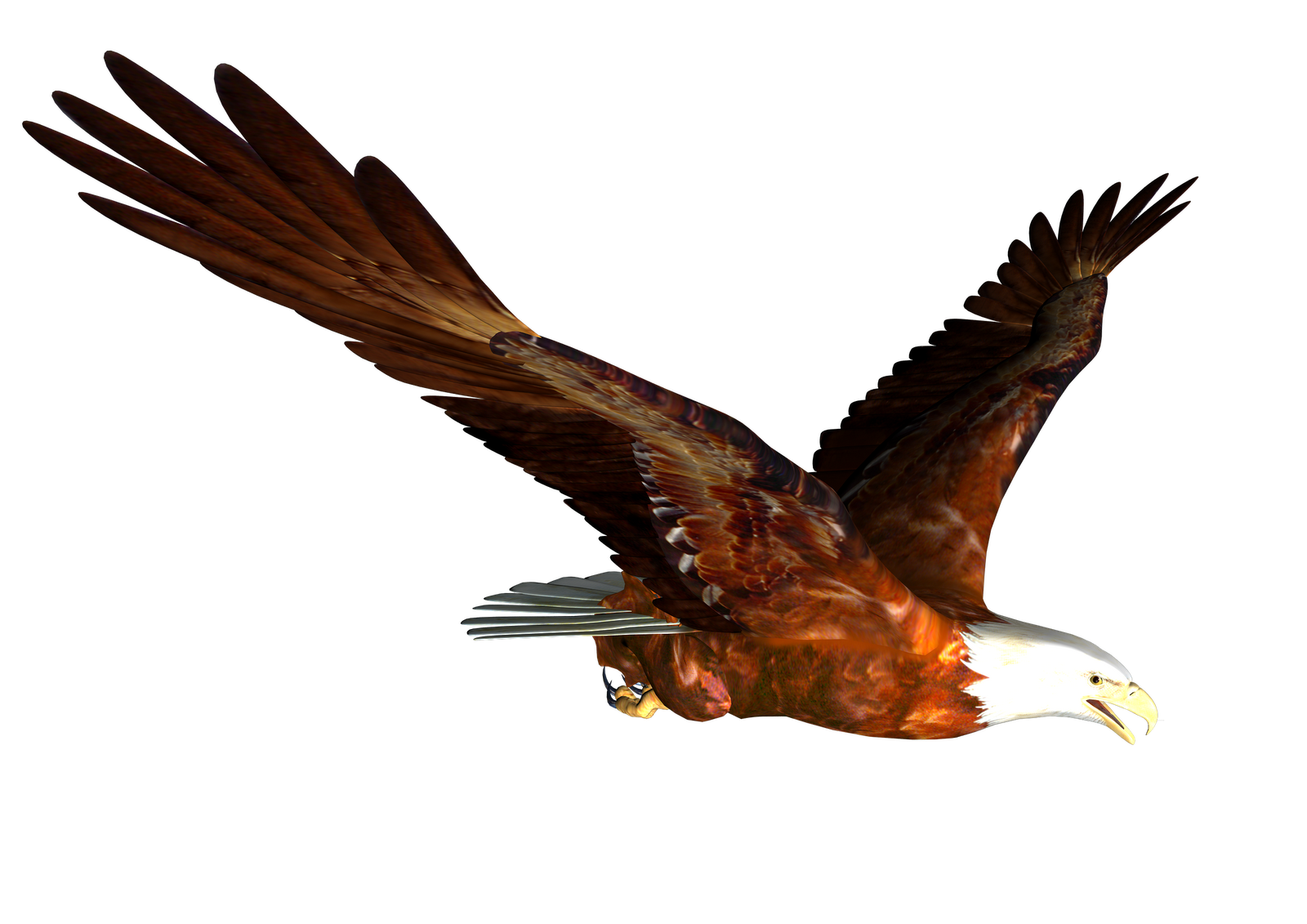 free clipart of bald eagles - photo #12