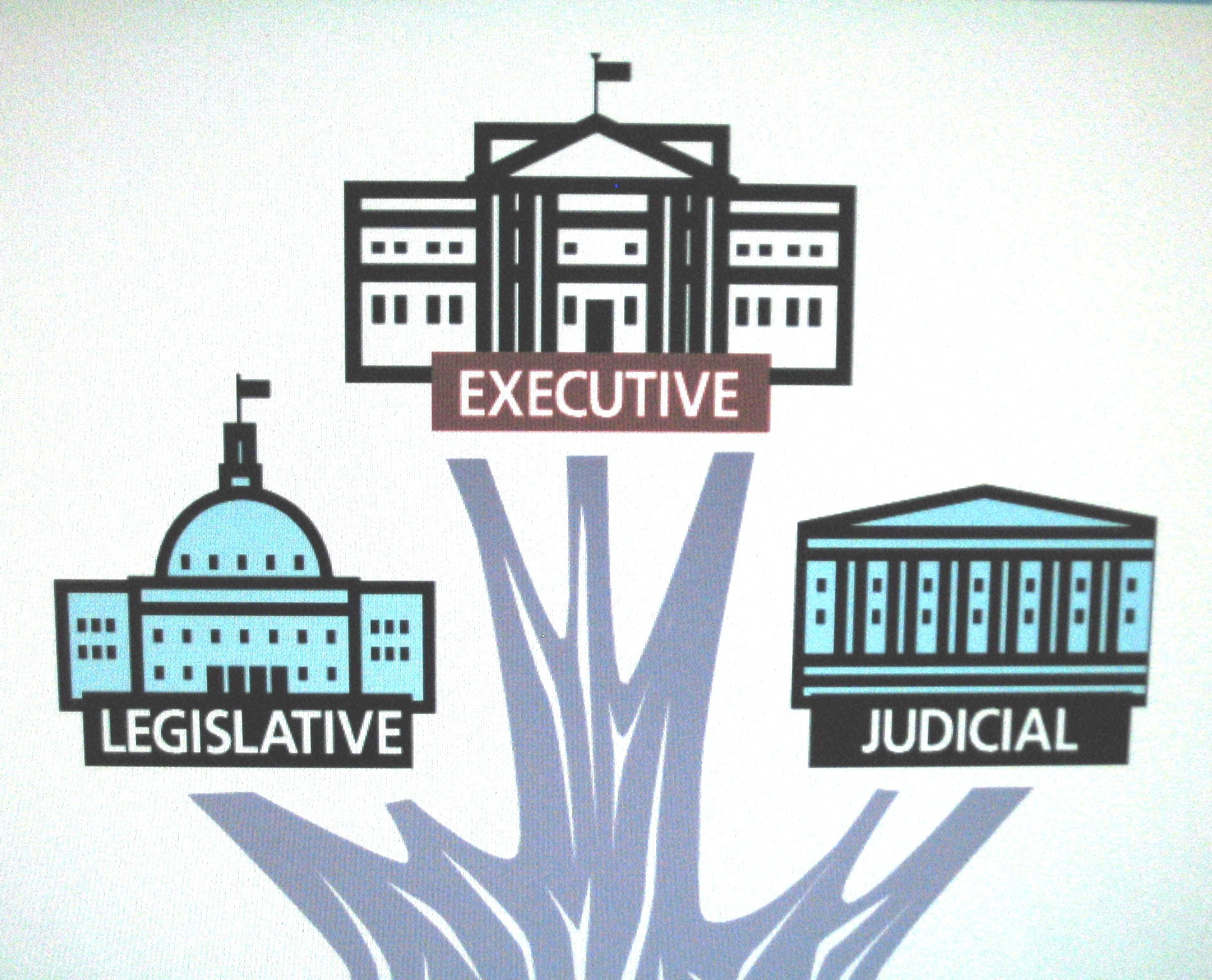 which part of the legislative branch has the power of the purse