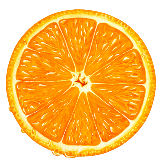 Orange slice clipart web png - Clipartix
