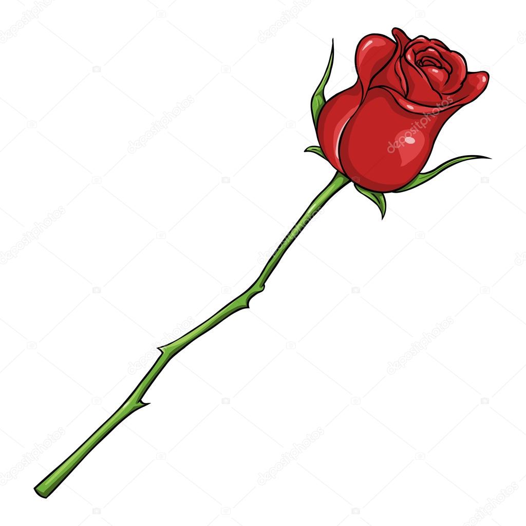 rose cartoon Vector cartoon isolated illustration red rose stock jpg