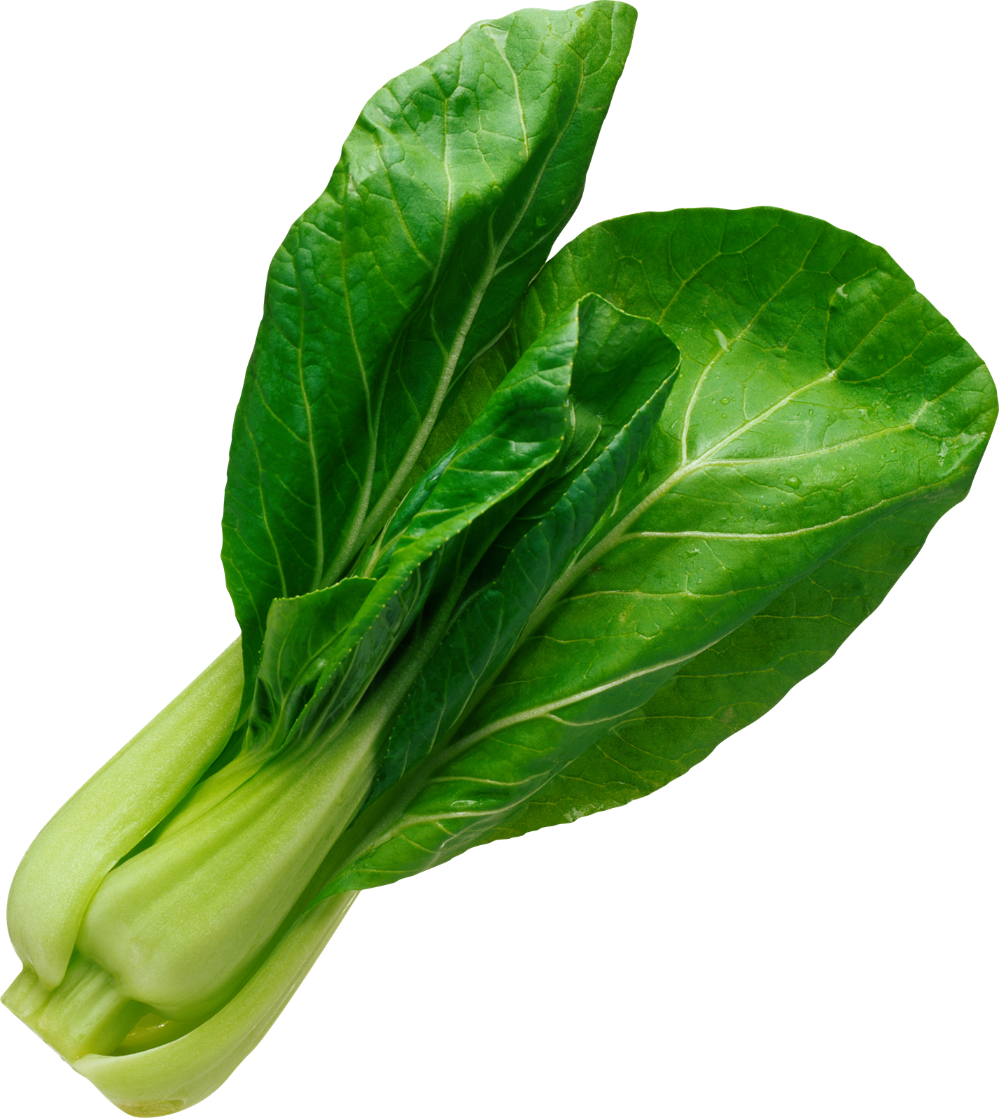 Spinach free clip art image gallery yopriceville high png - Clipartix