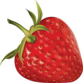 Fresh Ripe Red Strawberry with Green Stem Realistic Fruit Clipart Illustration