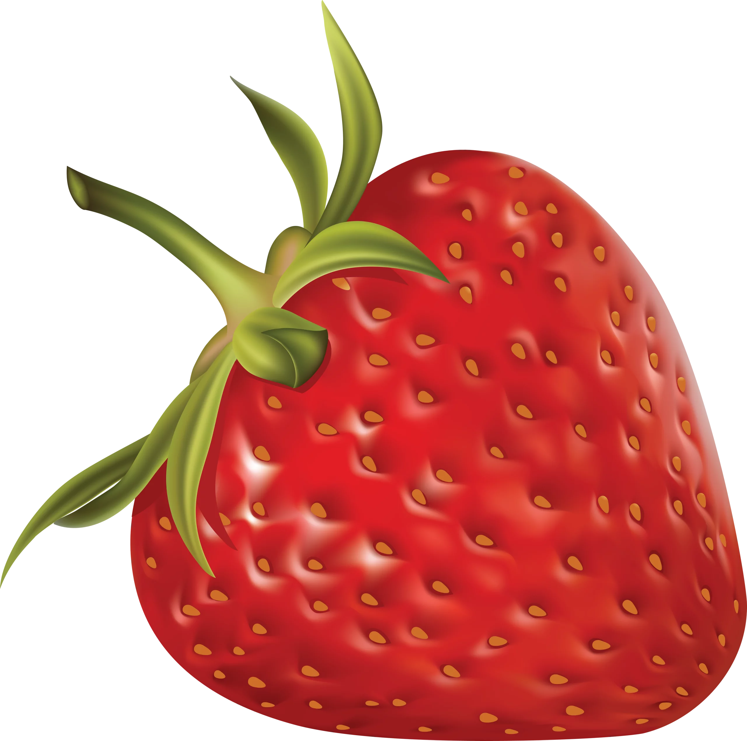 Fresh Ripe Red Strawberry with Green Stem Realistic Fruit Clipart Illustration