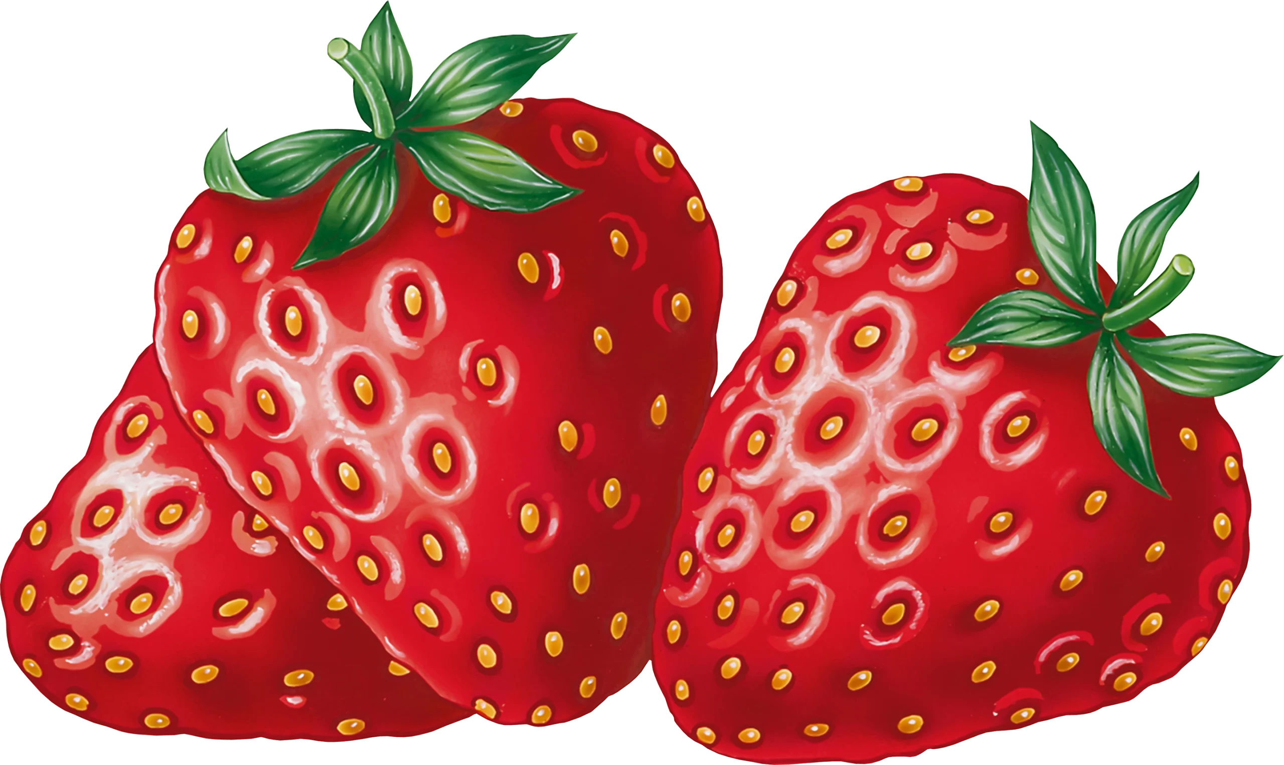 Vibrant Red Strawberries Clipart with Fresh Green Leaves and Detailed Texture