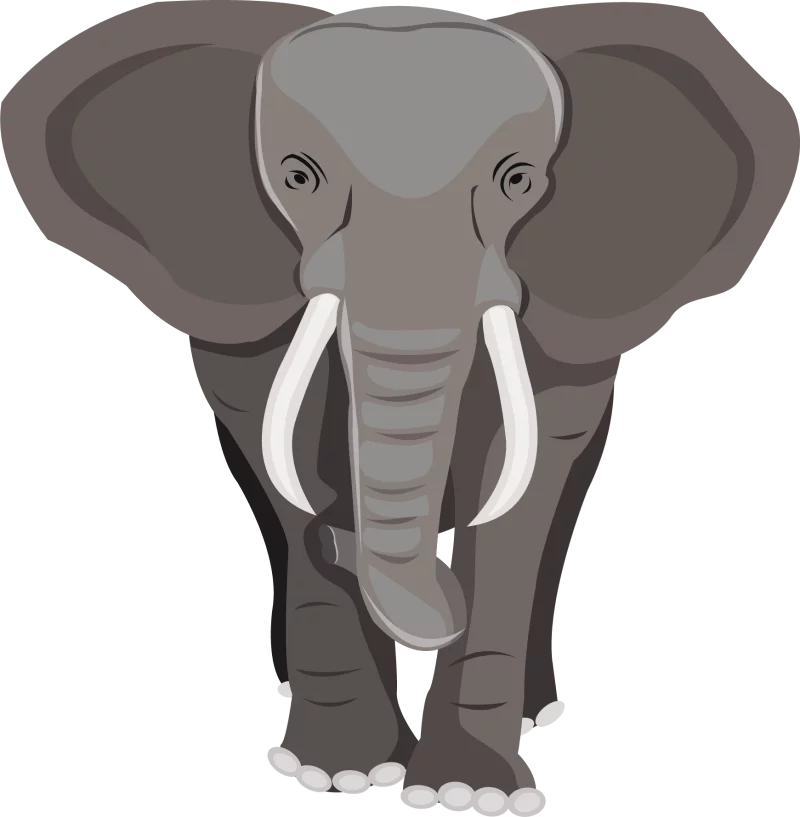 Majestic Gray African Elephant Vector Illustration in Minimalist Cartoon Style