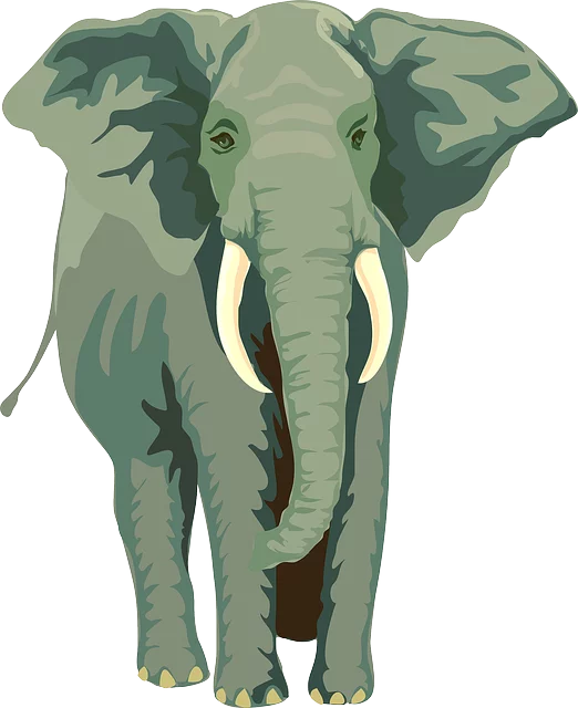 Majestic African Elephant Clipart Illustration with Prominent Tusks and Large Ears