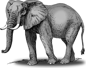 Majestic African Elephant Detailed Black and White Illustration Clipart