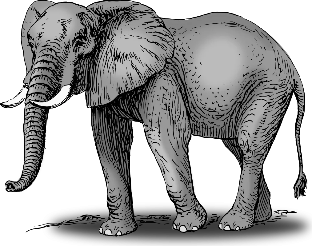 Majestic African Elephant Detailed Black and White Illustration Clipart