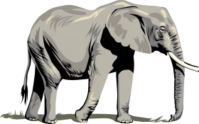 Majestic African Elephant Illustration with Detailed Grayscale Design