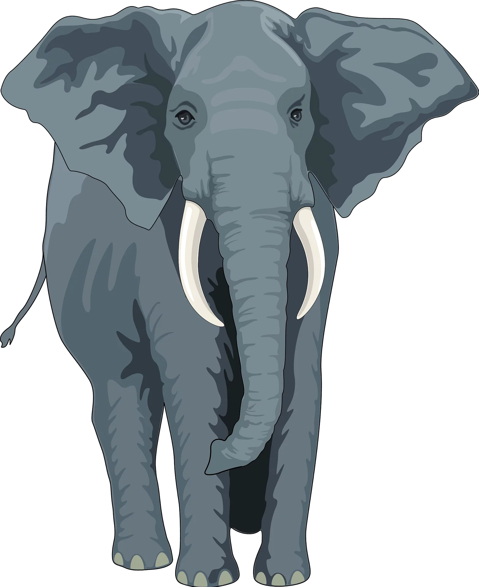 Majestic Gray African Elephant with Tusks Standing Proudly in Digital Clipart Style