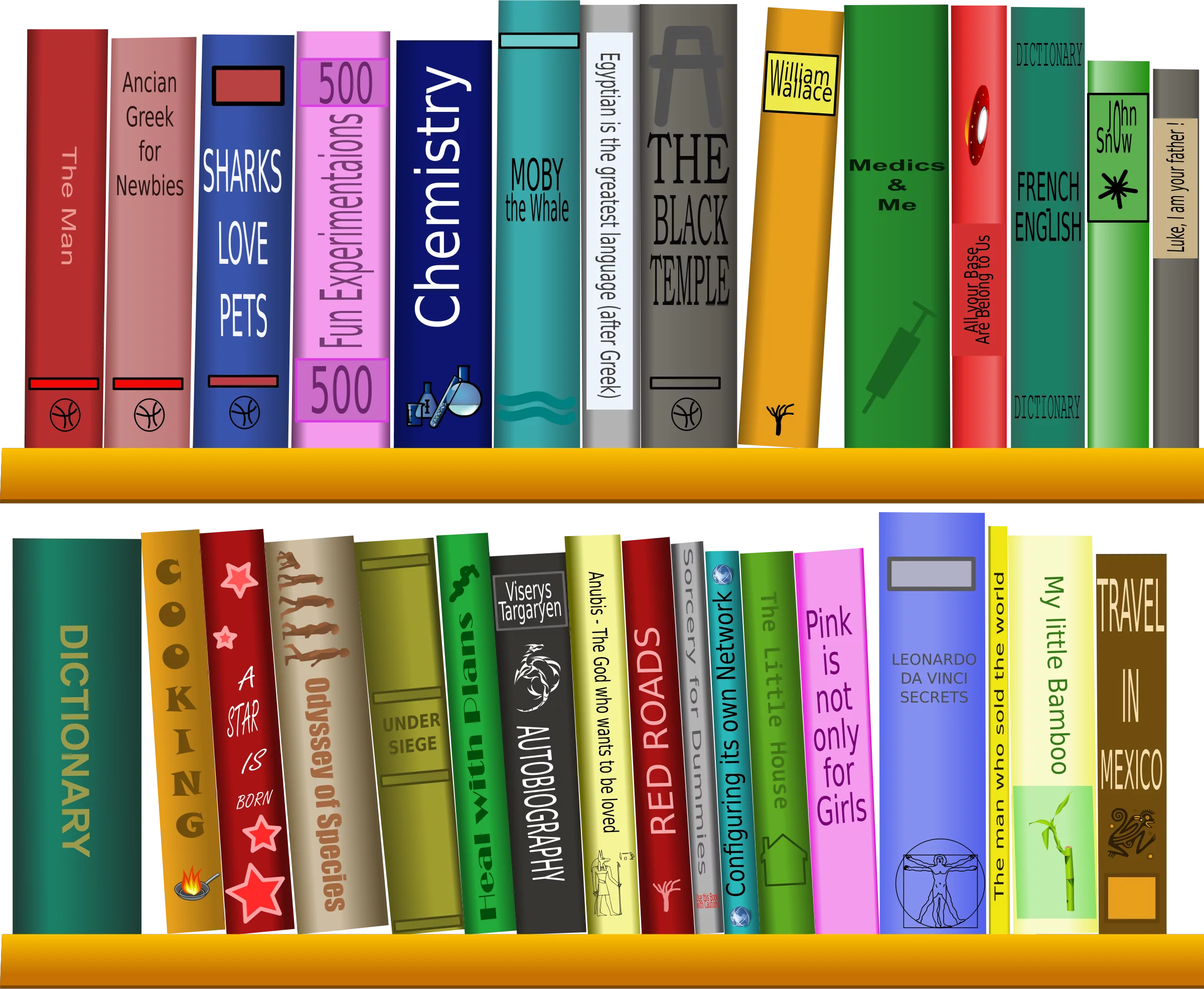 Vibrant Academic Library Collection: Colorful Books Arranged on Wooden Shelves