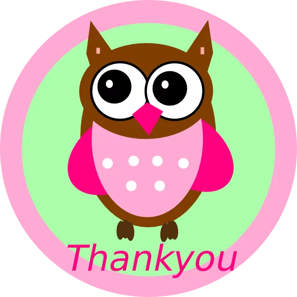 Adorable Cartoon Owl Thank You Sticker with Pink and Brown Color Scheme