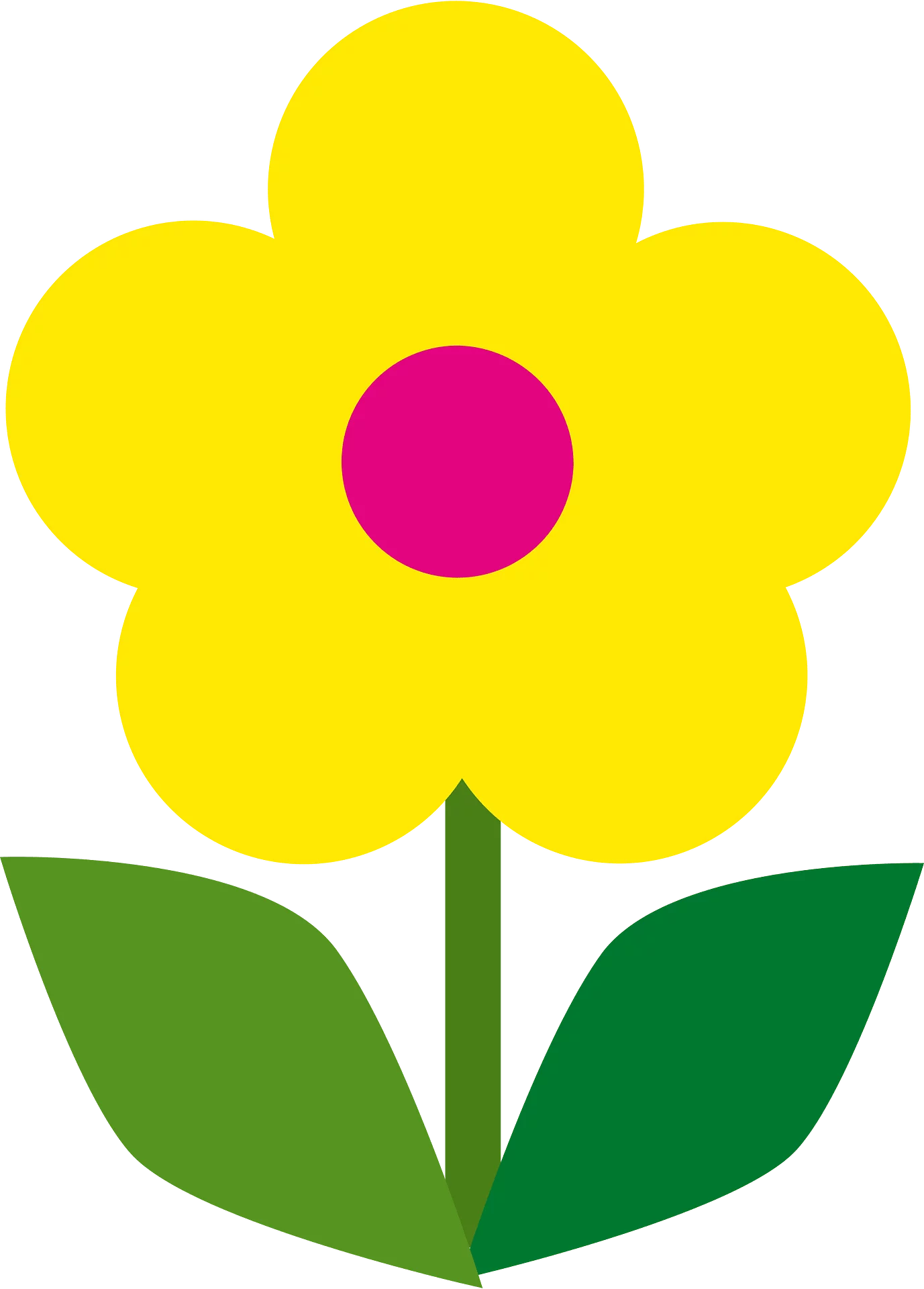 Bright Yellow Daisy Flower with Magenta Center and Green Leaves Clipart