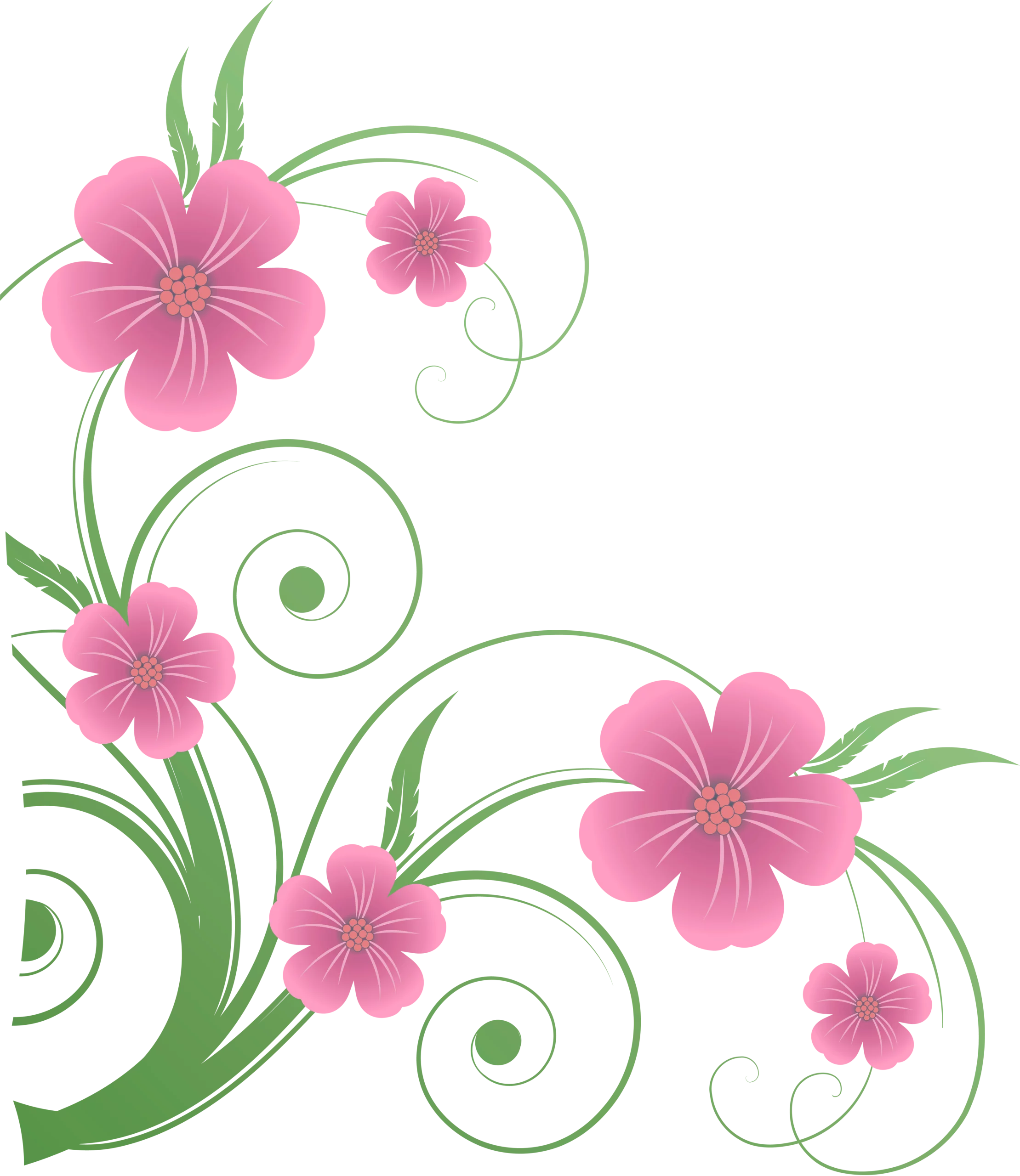 Elegant Pink Blossoms with Swirling Green Vines Decorative Floral Clipart