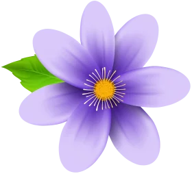 Elegant Purple Blossom with Yellow Center and Green Leaf Decorative Clipart