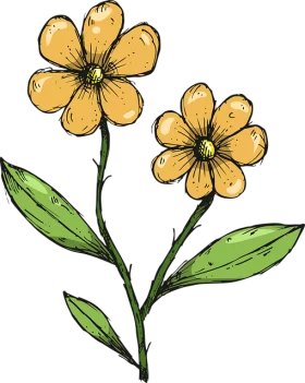 Hand-Drawn Yellow Buttercup Flowers with Green Leaves Botanical Clipart