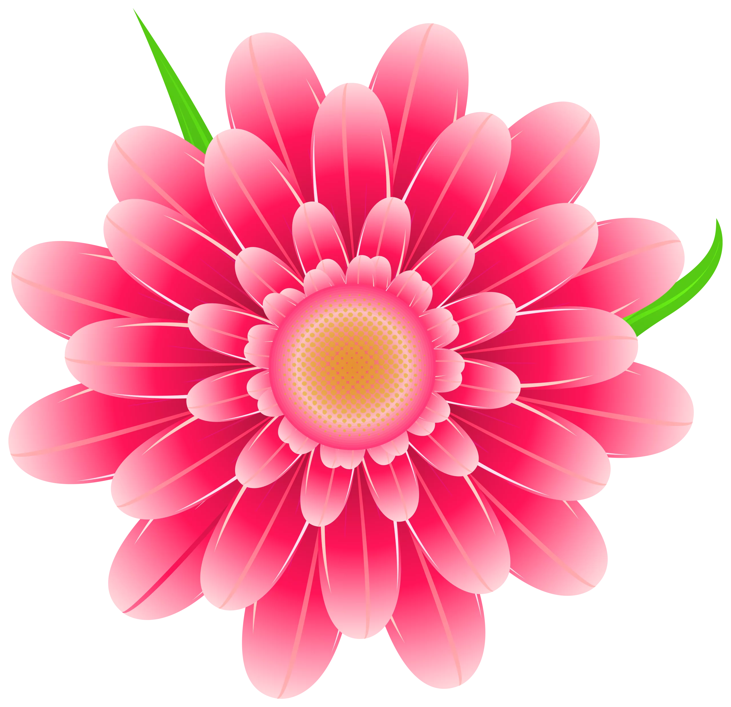 Vibrant Pink Dahlia Flower with Radiant Yellow Center - Decorative Botanical Clipart