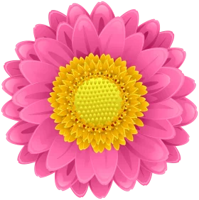 Vibrant Pink Flower with Bright Yellow Center - Decorative Floral Clipart