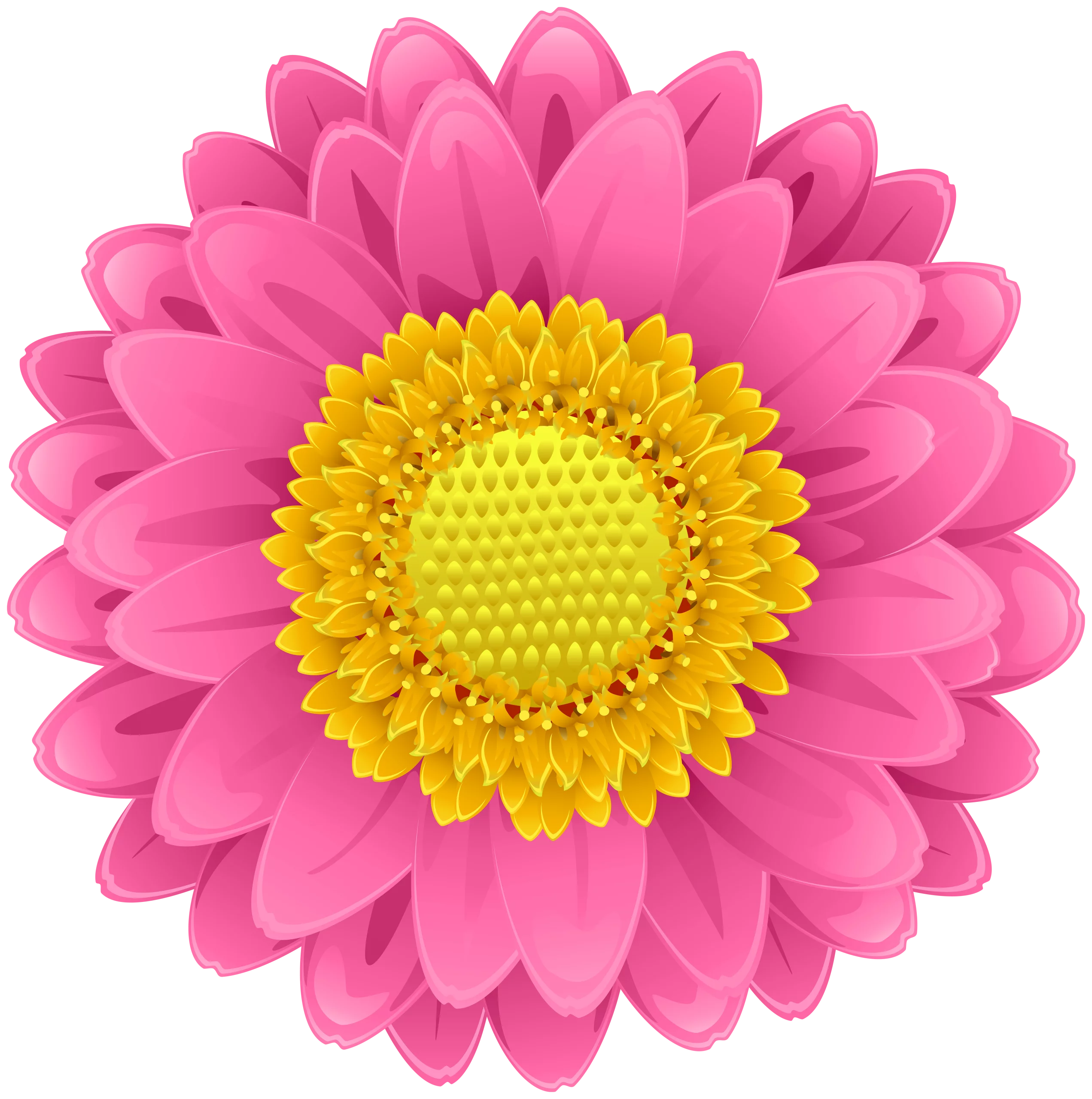 Vibrant Pink Flower with Bright Yellow Center - Decorative Floral Clipart