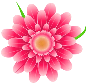 Vibrant Pink Gerbera Daisy Flower Clipart with Delicate Overlapping Petals