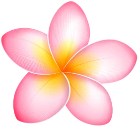 Vibrant Pink Plumeria Flower Clipart with Yellow Center - Tropical Floral Illustration