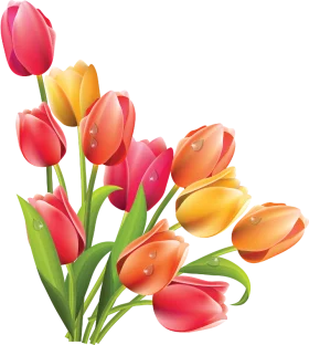 Vibrant Spring Tulip Bouquet with Pink, Red, and Yellow Flowers Clipart