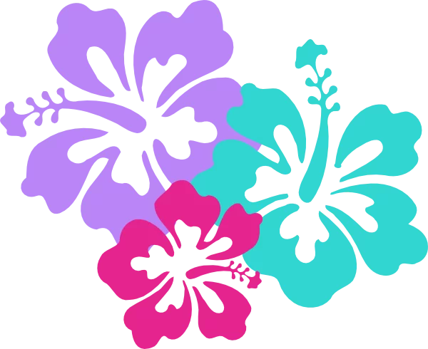 Vibrant Tropical Hibiscus Flower Trio in Purple, Turquoise, and Pink Clipart